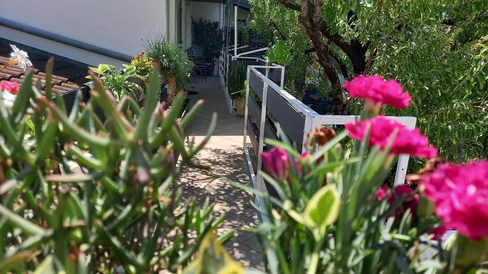 Felix Apartment Biograd
